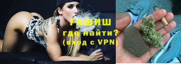 дживик Ельня