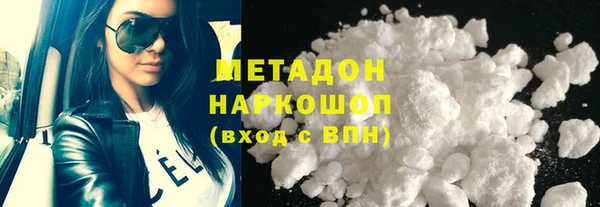 дживик Ельня