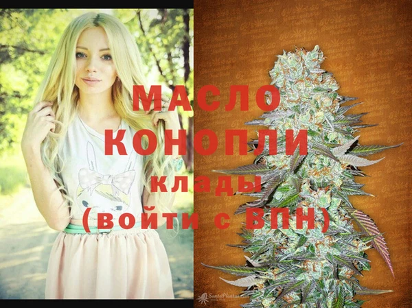 дживик Ельня