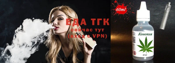 дживик Ельня