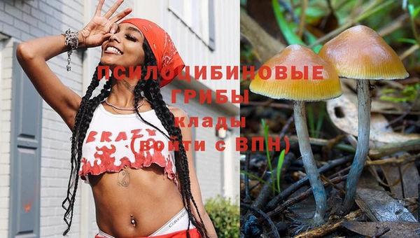 apvp Елизово