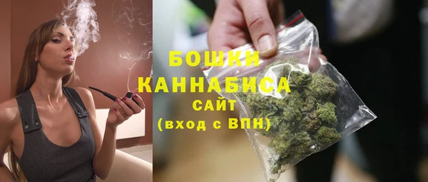 дживик Ельня
