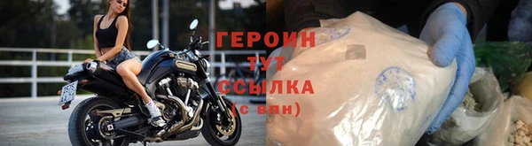 дживик Ельня