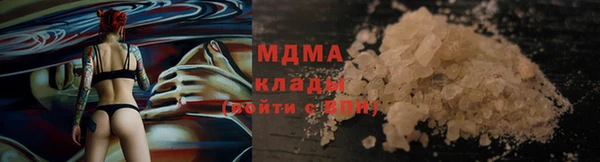 дживик Ельня