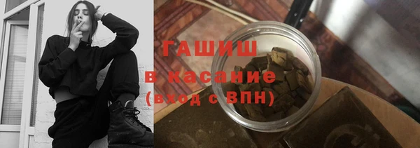дживик Ельня