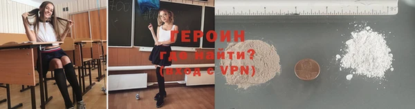 дживик Ельня
