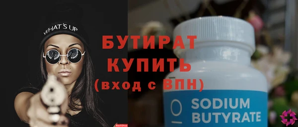 дживик Ельня