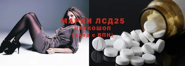 дживик Ельня