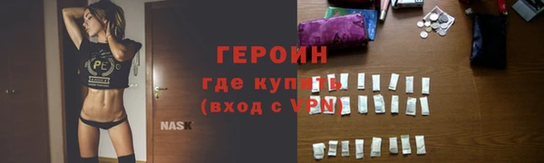 дживик Ельня