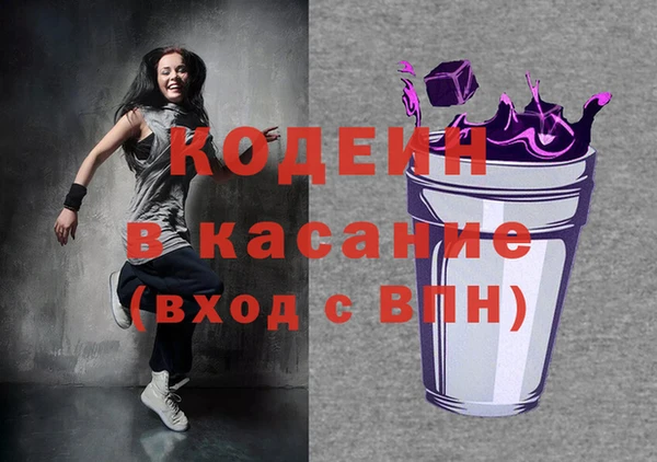 дживик Ельня