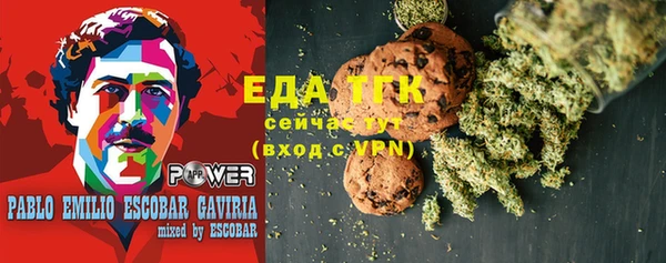 дживик Ельня