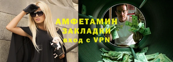 дживик Ельня