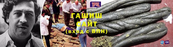 дживик Ельня