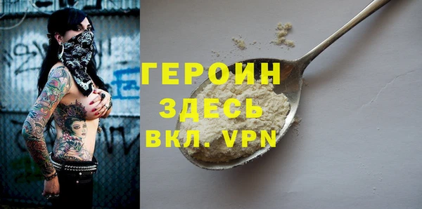 дживик Ельня