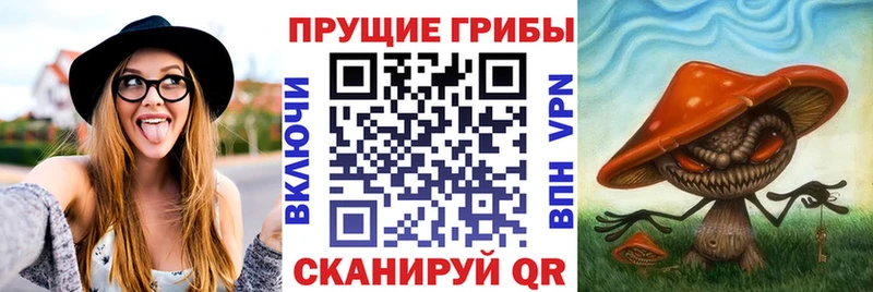 Купить закладки Урай Псилоцибиновые грибы ЛСД